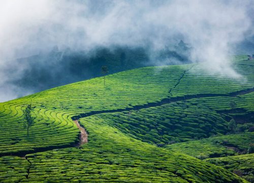 Kerala Special Holiday Package – 3N / 4D