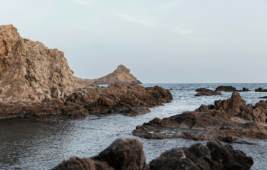 Vitenam-Sea-Dog-Rock